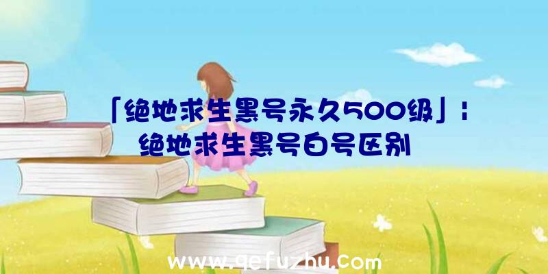 「绝地求生黑号永久500级」|绝地求生黑号白号区别